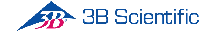 3b